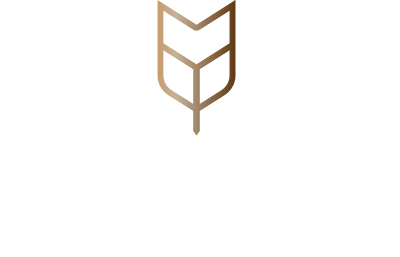 Logo Master Properties
